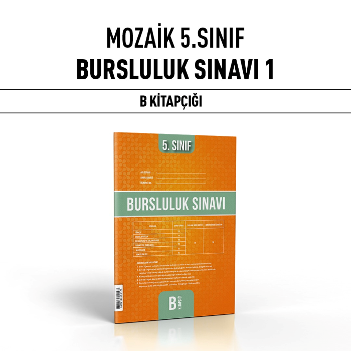 MOZAİK 05.SINIF BURSLULUK SNV 1-B - 24-25